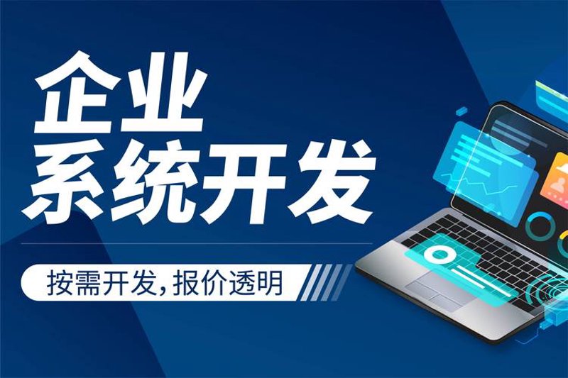 软件定制开发助力现代企业破局